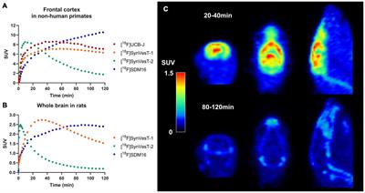 PET Imaging of Synaptic Density: Challenges and Opportunities of Synaptic Vesicle Glycoprotein 2A PET in Small Animal Imaging